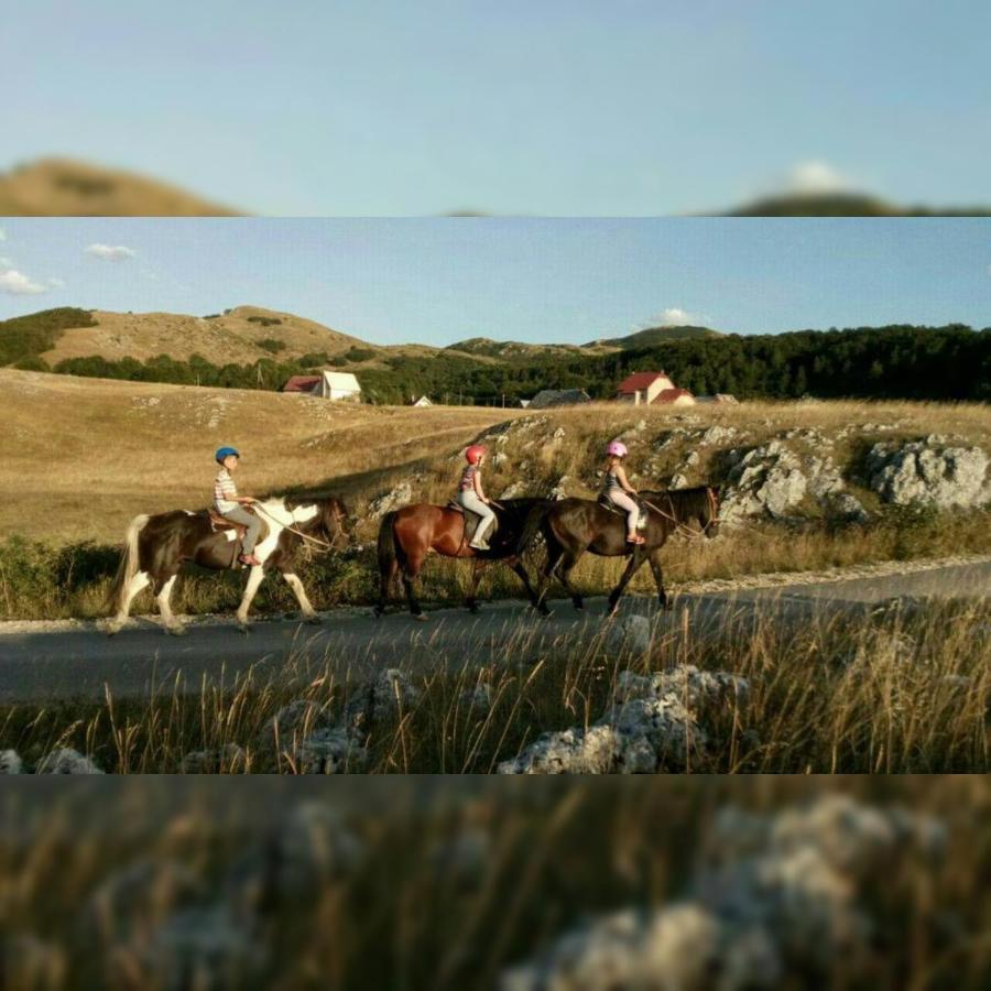 Rural Resort Tron Плужине Экстерьер фото