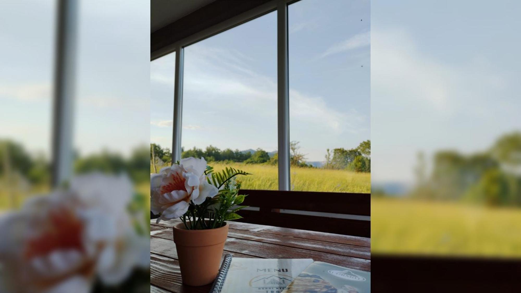 Rural Resort Tron Плужине Экстерьер фото