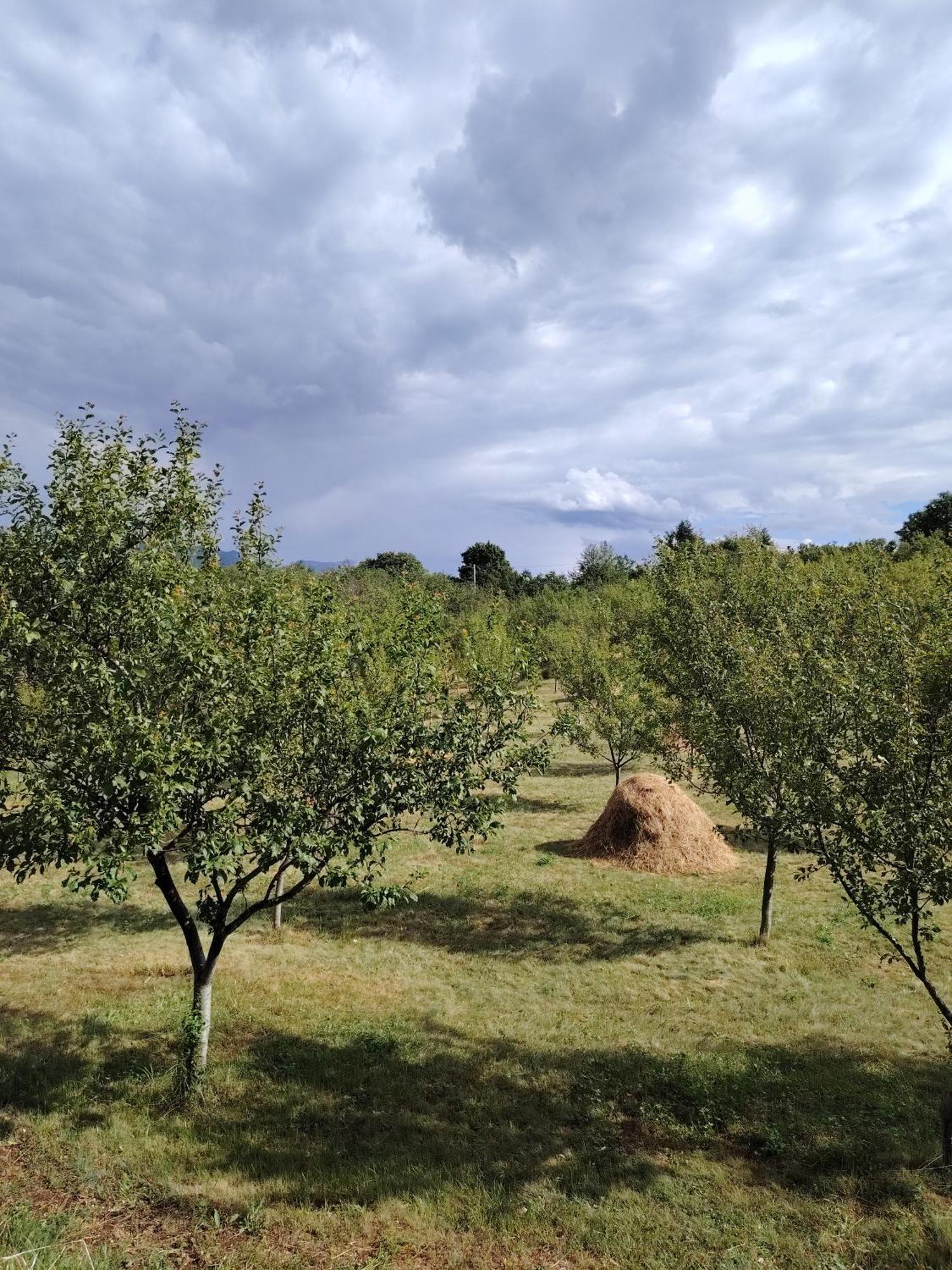 Rural Resort Tron Плужине Экстерьер фото